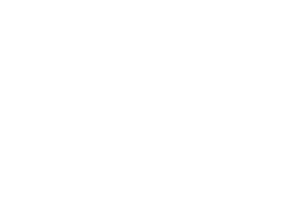 LABOL Futsal School